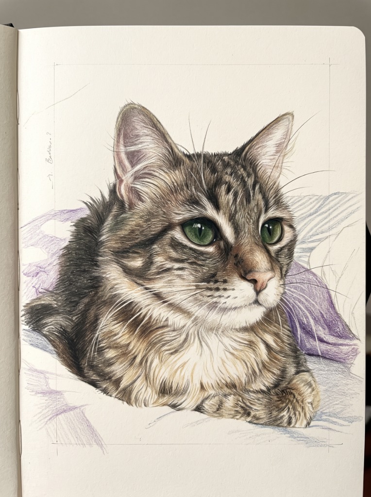 Pencil Sketch